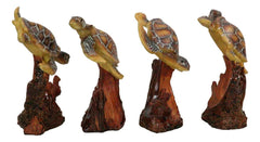 Marine Life Sea Turtles Swimming Under The Sea Reefs Collectible Figurines Set-4