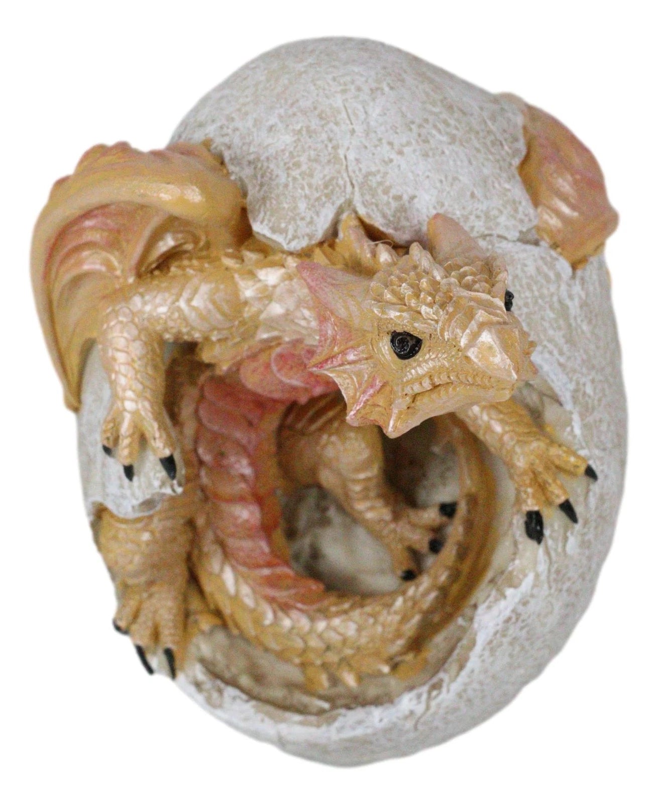 Figura de cría de dragón Raeon Sunlight saliendo de la cáscara del huevo, 12,7 cm de alto-4