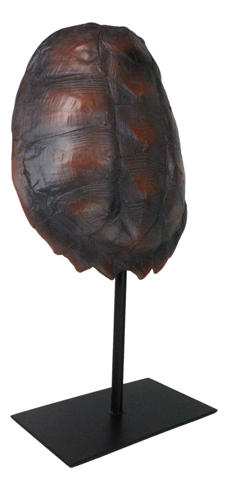 Nautical Marine Faux Alligator Snapping Turtle Shell Sculpture With Pole Stand-5
