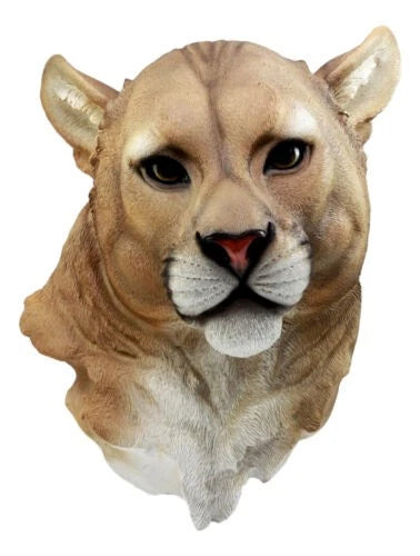 Sarabi Large Lioness Head Wall Decor Plaque 16"Tall Taxidermy Art Decor Figurine-6