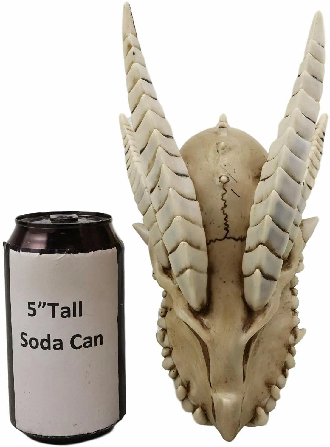 Jurassic Wise Dragon Head Skull Replica Fossil Wall Sculpture Or Desktop Statue-7