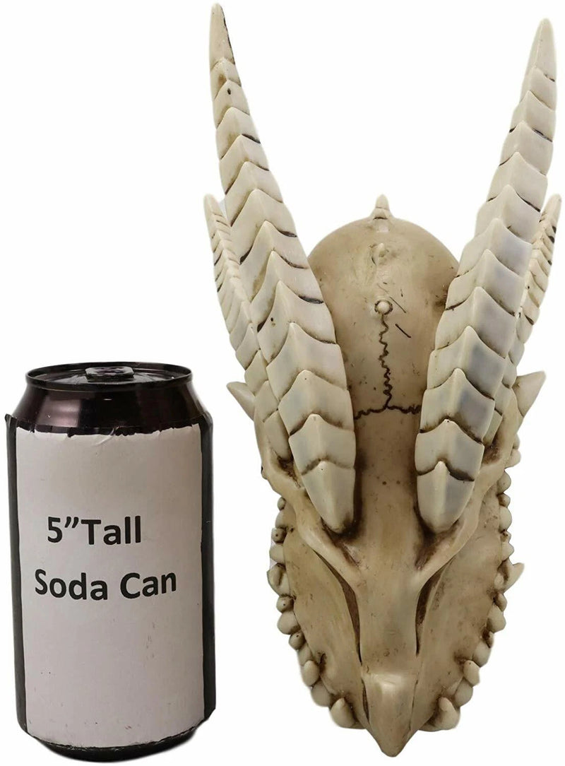Jurassic Wise Dragon Head Skull Replica Fossil Wall Sculpture Or Desktop Statue-7