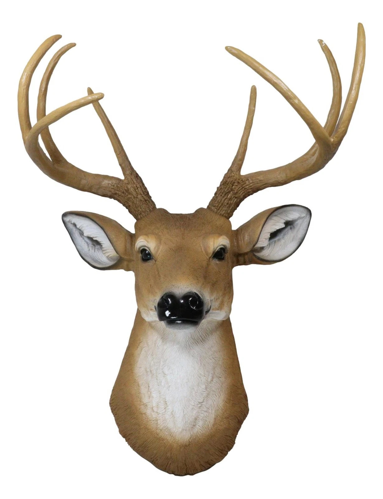 8 Point Buck Deer Bust Champion Wall Mount Sculpture Plaque Figurine 21"H