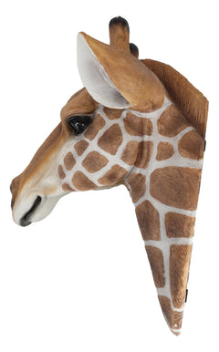 African Safari Long Necked Giraffe Head Wall Decor Scherezade Bust Figurine-3