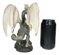 Collectibles Fantasy Battle of Thrones Wise Aged Wraith Hydra Dragon 8" Tall-4