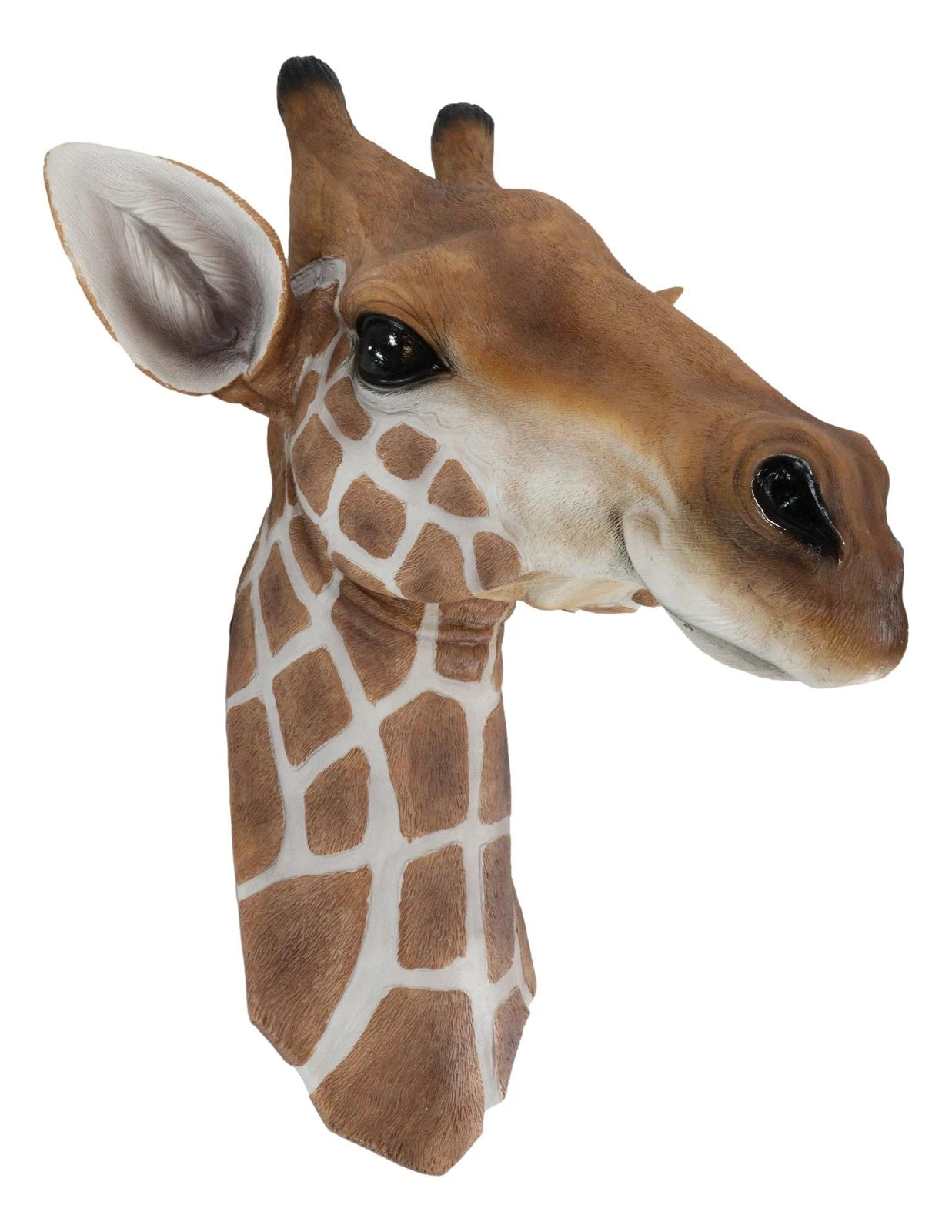 African Safari Long Necked Giraffe Head Wall Decor Scherezade Bust Figurine-5
