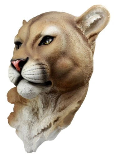 Sarabi Large Lioness Head Wall Decor Plaque 16"Tall Taxidermy Art Decor Figurine-3