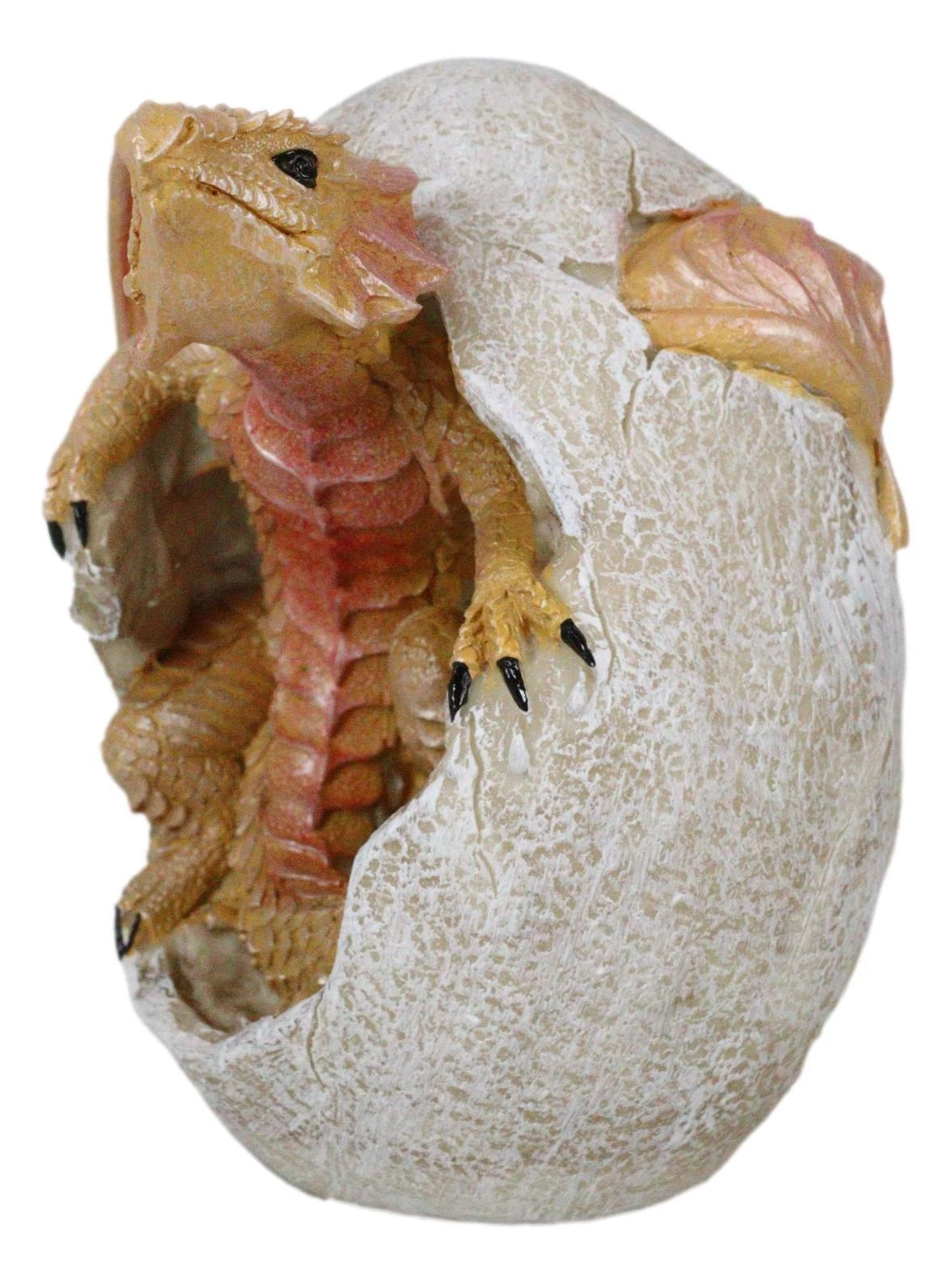 Raeon Sunlight Dragon Hatchling Breaking Out Of Egg Shell Figurine 5"H