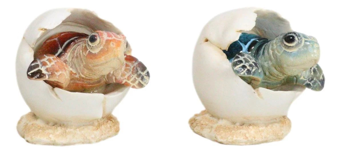 Pack Of 2 Marine Blue And Brown Sea Turtle Hatchlings In Egg Shells Figurines-2