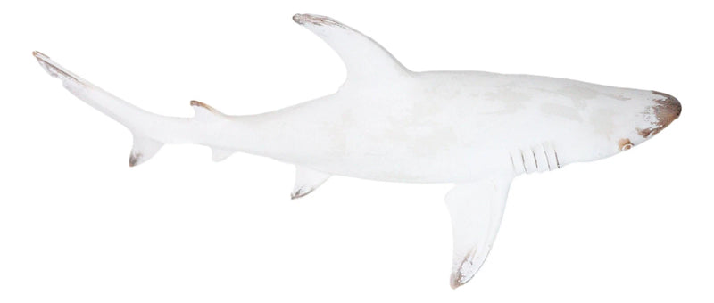 Nautical Ocean Marine Great White Shark Swimming Antiqued White Figurine 19.5"L-2