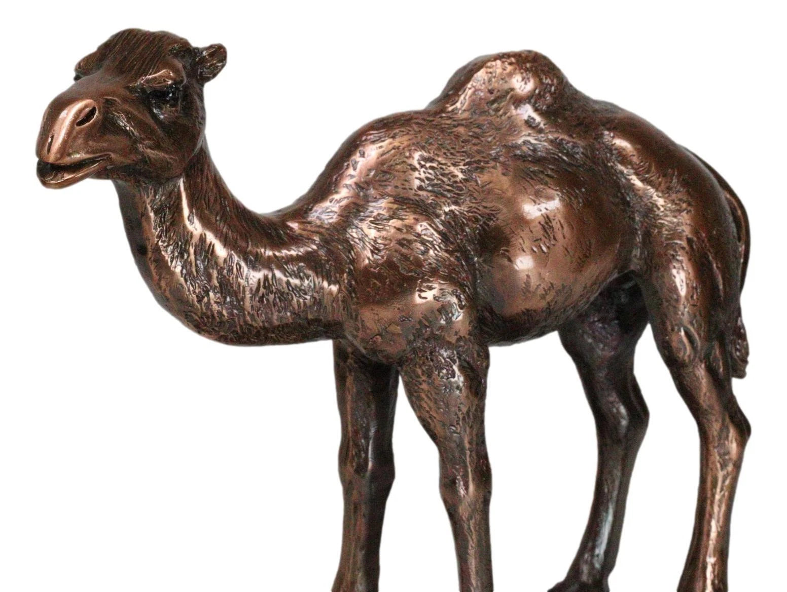 Desert Explorer Single Hump Brown Camel Electroplated Resin Figurine With Base-4