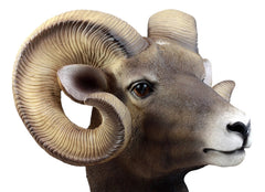 Rocky Mountains Bighorn Ram Trophy Taxidermy Wall Decor Sculpture Hanging Plaque-5