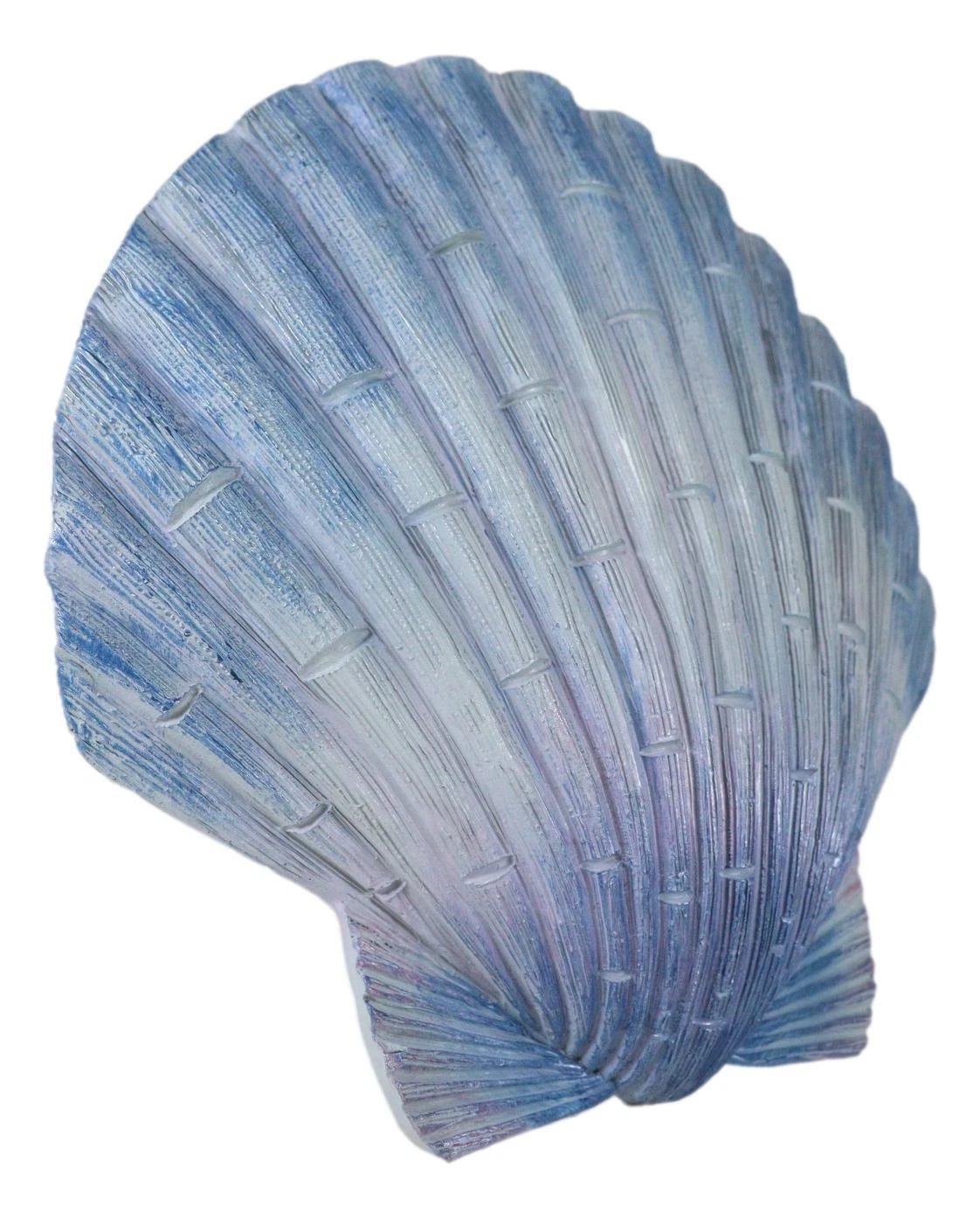 Ocean Nautical Marine Beach Aqua Blue Scallop Sea Shell Wall Plaque Decor 8.25"L-7