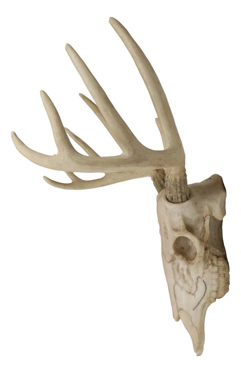 Rustic Hunter Rack Deer Skull Antler Wall Plaque Decor 10 Point Buck Figurine-5