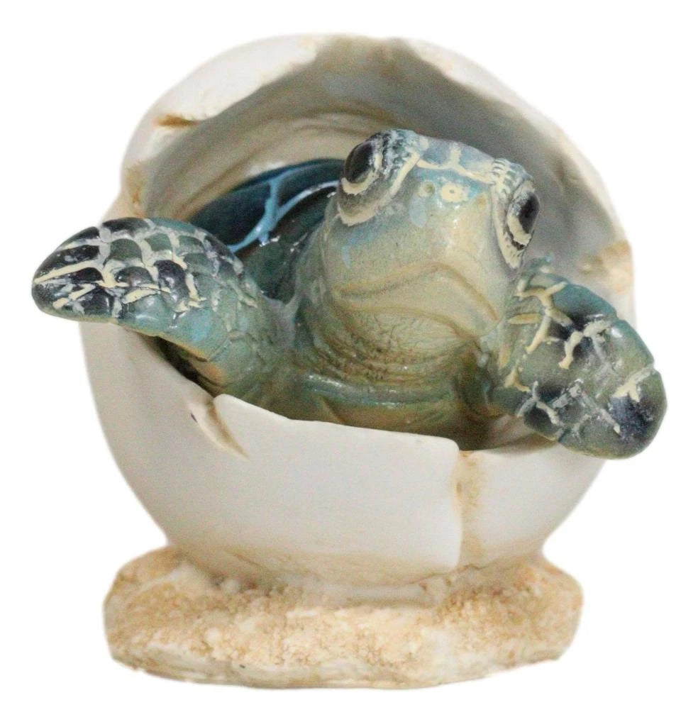 Pack Of 2 Marine Blue And Brown Sea Turtle Hatchlings In Egg Shells Figurines-5
