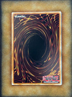 Yugioh Duel Link Dragon, The Duel Dragon YCSW-EN012 Super Rare PRIZE CARD NM (2)-3