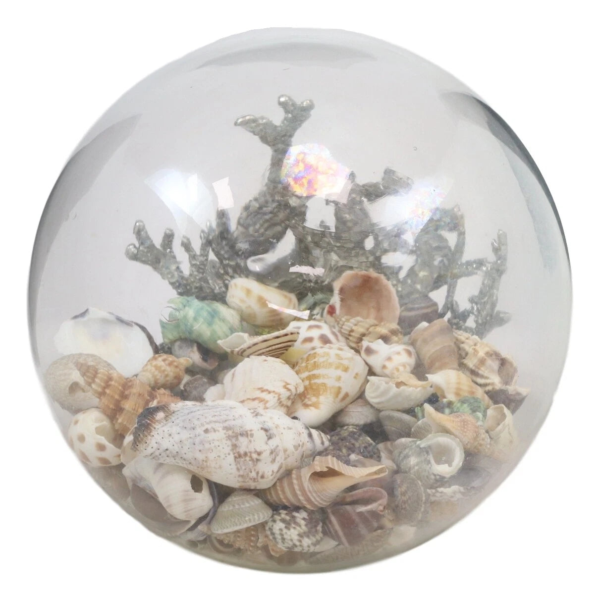 Nautical Marine Sea Shells Glass Globe Ball On Silver Coral Reef Metal Sculpture-6