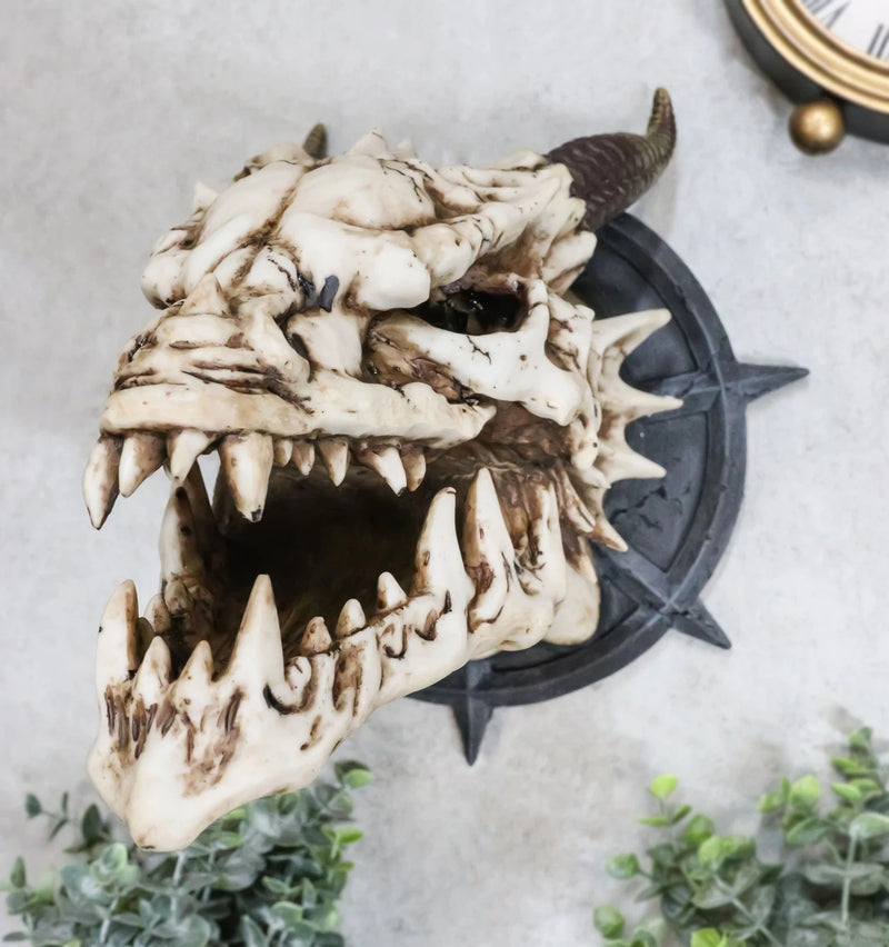 Large Chained Horned Dragon Skull Wall Trophy Decor Saint George Slain Dragon-3