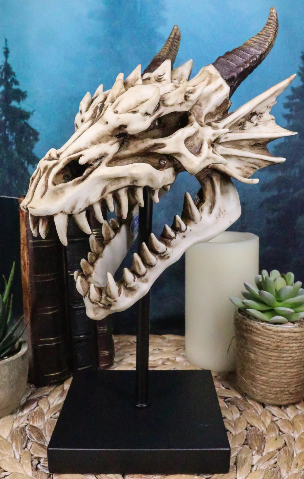 Figura de exhibición de cráneo de dragón de hueso de Terra feroz en soporte de museo, 30 cm-1