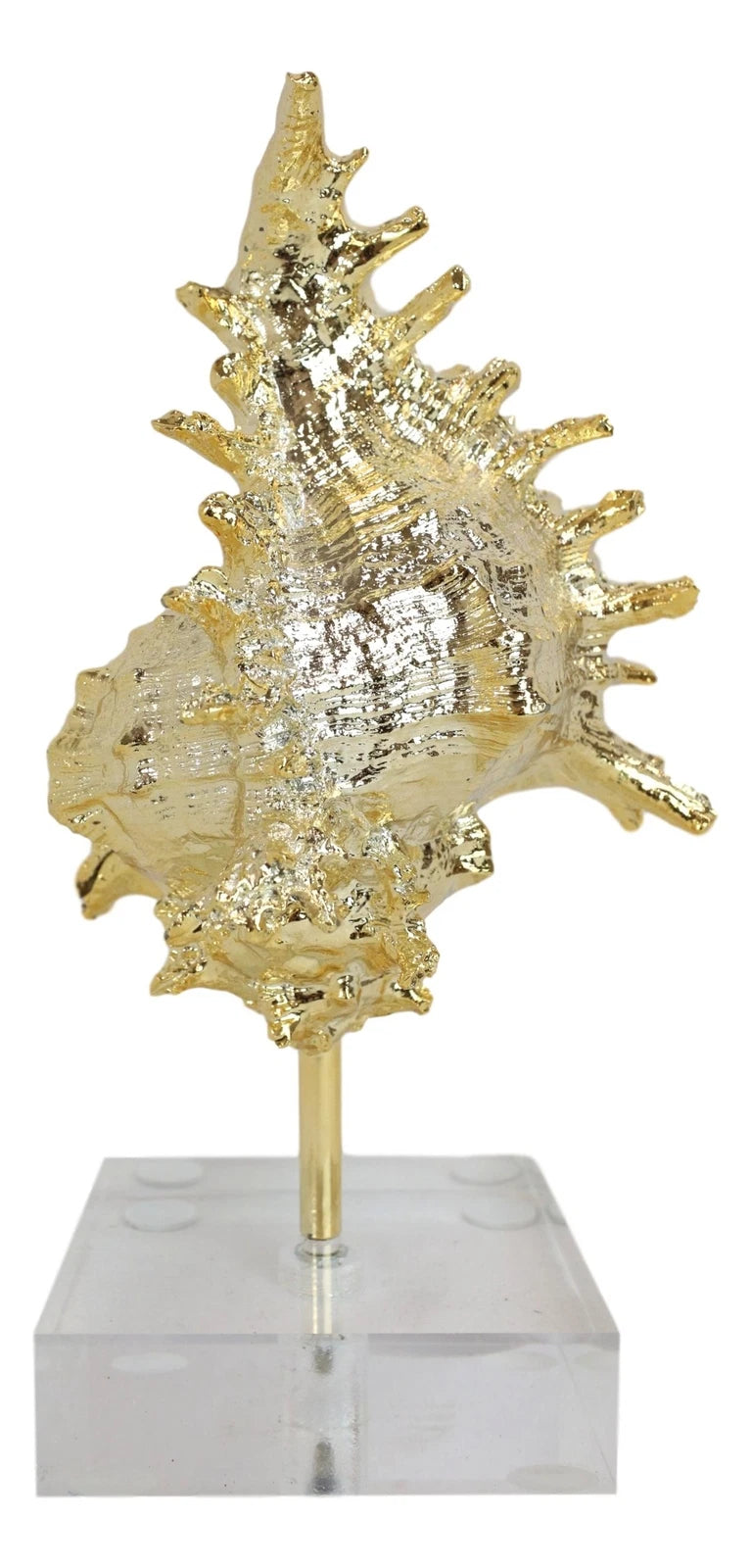 Nautical Marine Coral Golden Conch Large Sea Shell Sculpture With Acrylic Base-4
