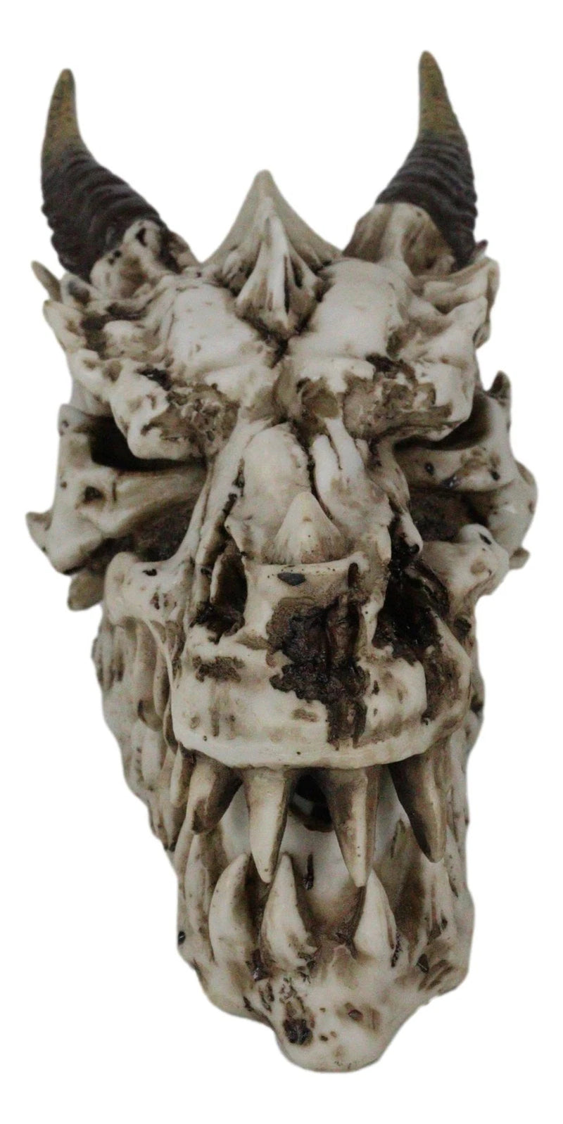 9"L Smoking Bone Skeleton Fossil Dragon Head Skull Incense Burner Box Statue-3