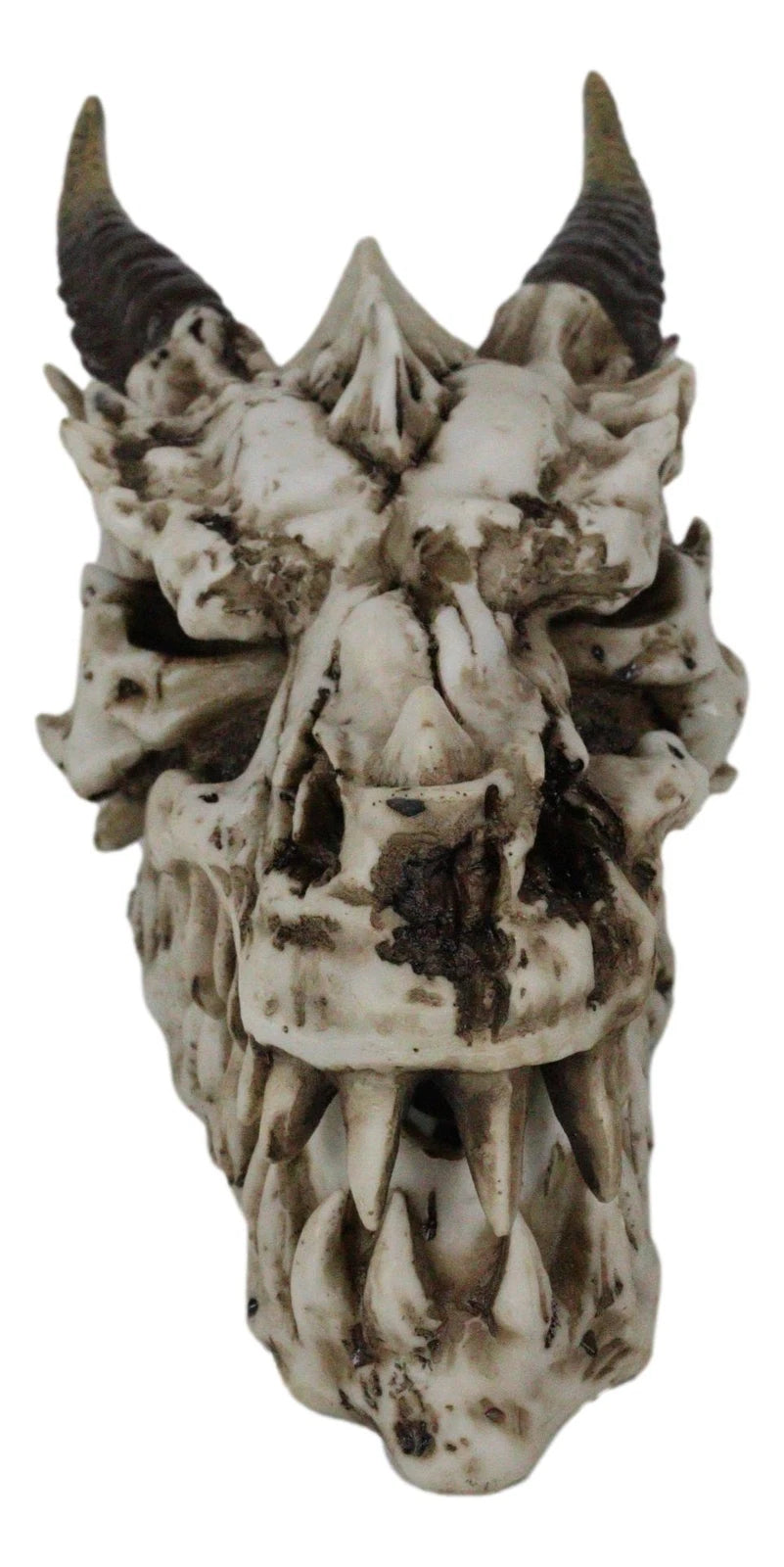 9"L Smoking Bone Skeleton Fossil Dragon Head Skull Incense Burner Box Statue-3