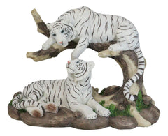 Figura de árbol curvado de pareja de tigres blancos de Bengala siberianos que retozan en la jungla-3