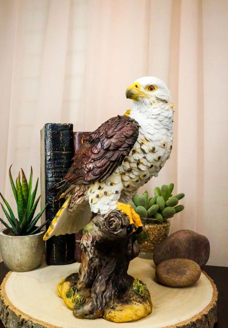 Wildlife Bald Eagle On Tree Stump Statue Birds Of Prey Figurine 10"H-2