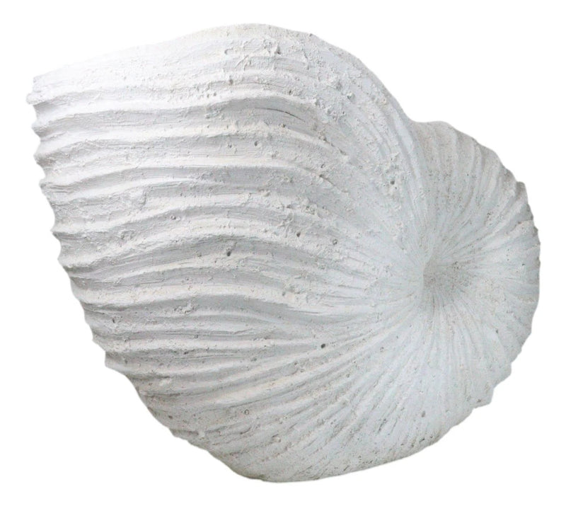 18.5"L White Nautical Marine Ocean Giant Nautilus Sea Shell Decorative Sculpture-2