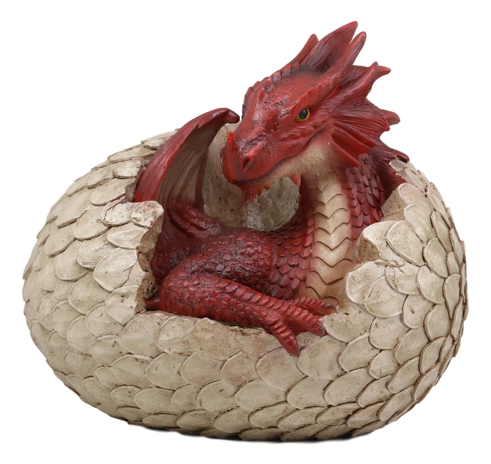 Large Smaug Red Baby Dragon Hatchling in Egg Statue 9.5" Long Dungeons Dragons-5