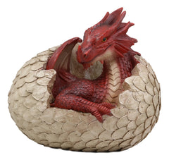 Large Smaug Red Baby Dragon Hatchling in Egg Statue 9.5" Long Dungeons Dragons-5