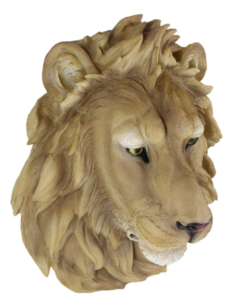 Lion Head Wall Decor Plaque 16" Tall Taxidermy Art Decor Sculpture-5