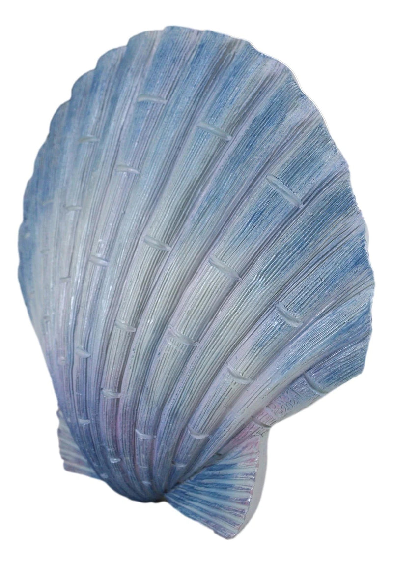 Ocean Nautical Marine Beach Aqua Blue Scallop Sea Shell Wall Plaque Decor 8.25"L-6