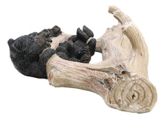 Rustic 3 Naughty Black Bears Dangling On Tree Branch 3 Pegs Triple Wall Hook-7