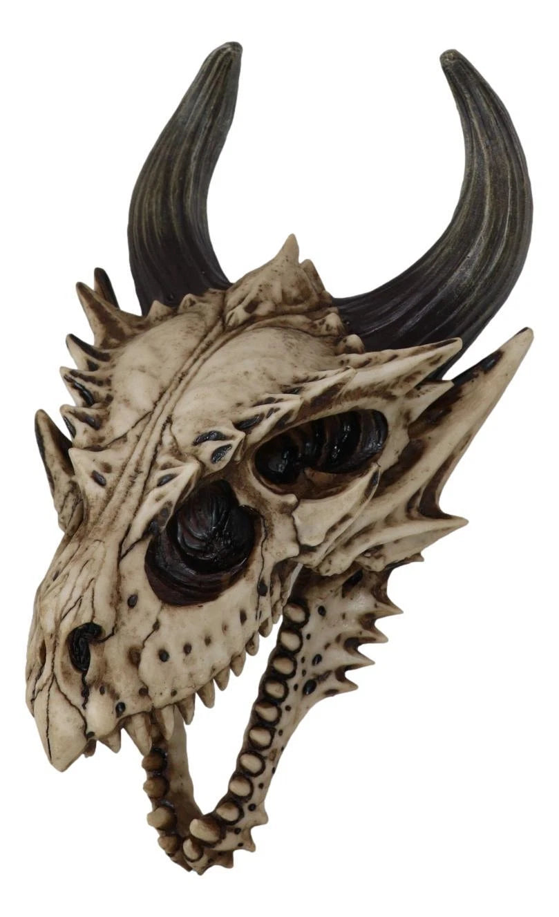 Decoración de pared con calavera de dragón, figura realista de cabeza de dragón Beowulf jurásico fósil para pared, estante, repisa o sala de fantasía gótica.-6