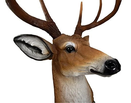 8 Point Buck Deer Bust Champion Wall Mount Sculpture Plaque Figurine 21"H-4