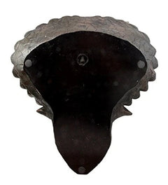 Jurassic Triceratops Wall Head Large 15.25" H Hanging Wall Decor Plaque-3