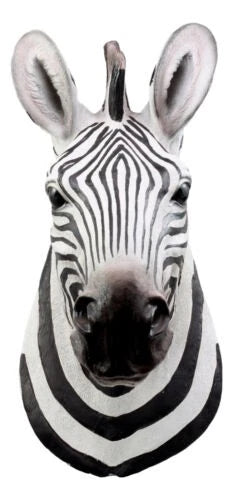 Madagascar Large Zebra Head Wall Decor Plaque 16"Tall Taxidermy Decor Sculpture-5