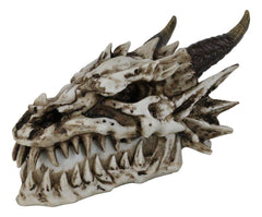 9"L Smoking Bone Skeleton Fossil Dragon Head Skull Incense Burner Box Statue-4