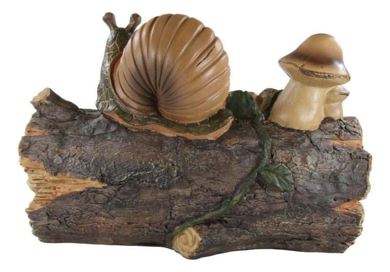 Helix Shell Snail By Mushrooms On Trunk Log With Slow Down Enjoy Sign-3