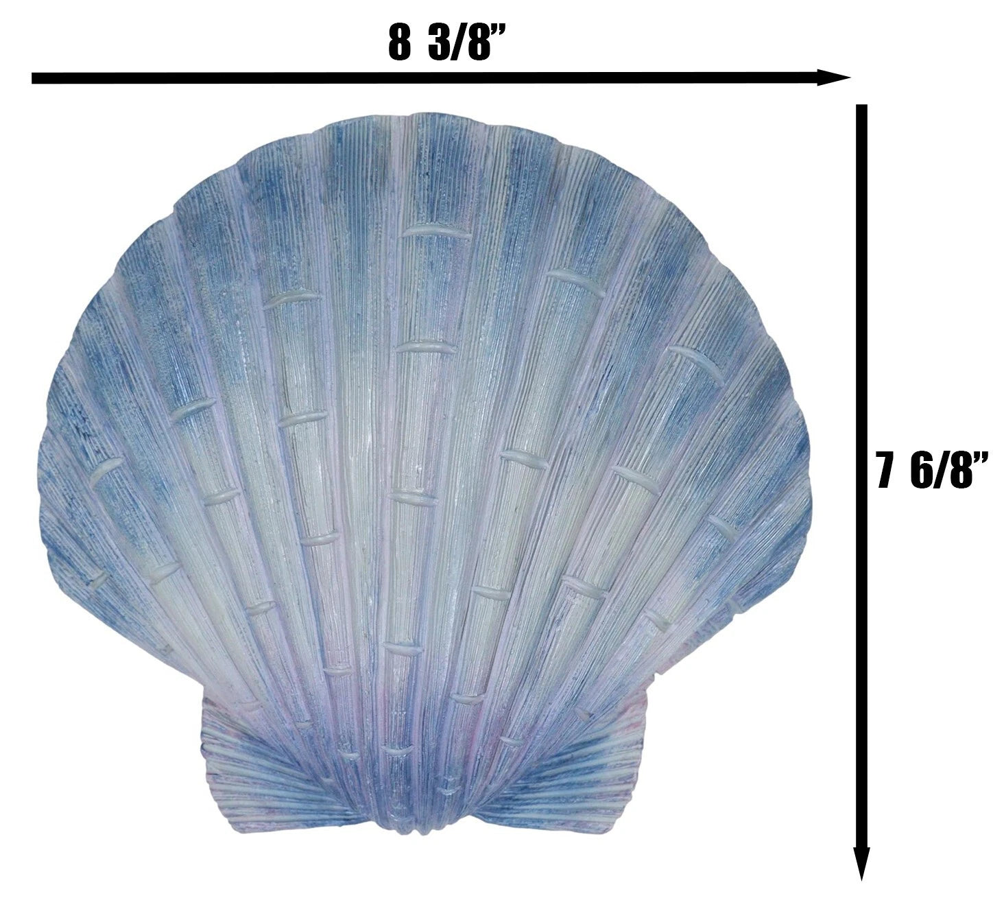 Ocean Nautical Marine Beach Aqua Blue Scallop Sea Shell Wall Plaque Decor 8.25"L-4