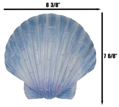 Ocean Nautical Marine Beach Aqua Blue Scallop Sea Shell Wall Plaque Decor 8.25"L-4