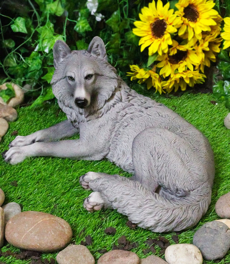 Figura decorativa de lobo solitario gris sabio descansando, paquete de Timberwolves-2