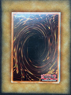 Yugioh Dark Magician Girl DL18-EN003 Duelist League Rare MP BLUE-3