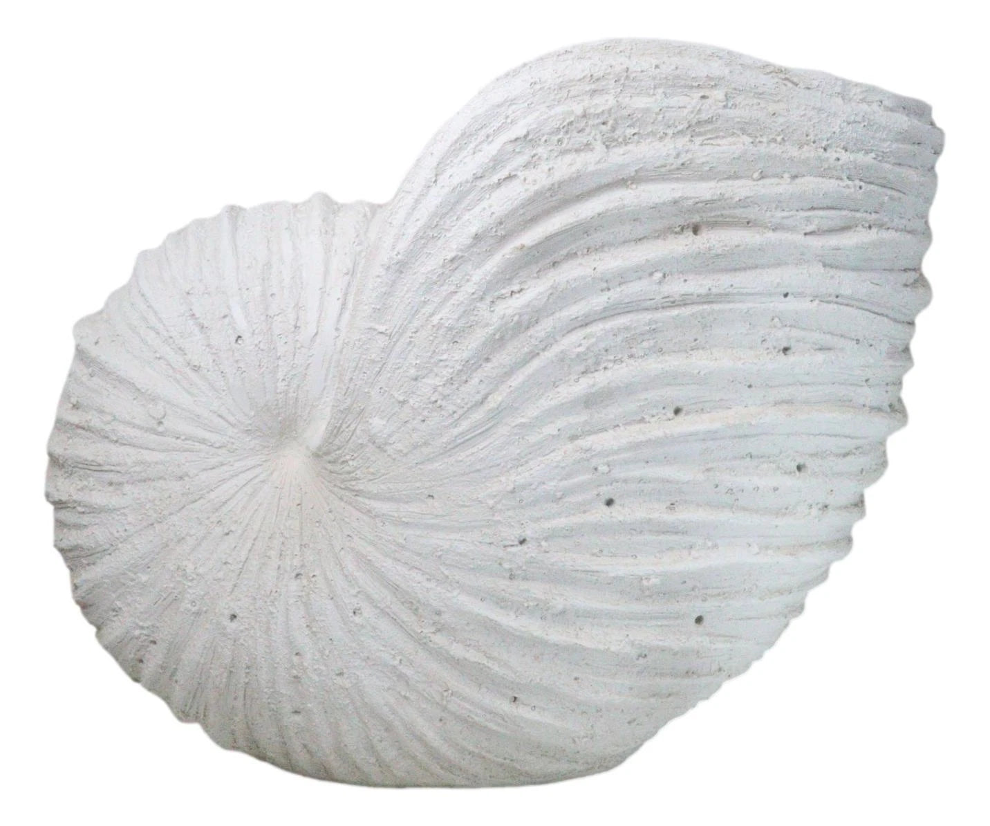 18.5"L White Nautical Marine Ocean Giant Nautilus Sea Shell Decorative Sculpture-6