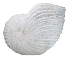 18.5"L White Nautical Marine Ocean Giant Nautilus Sea Shell Decorative Sculpture-6