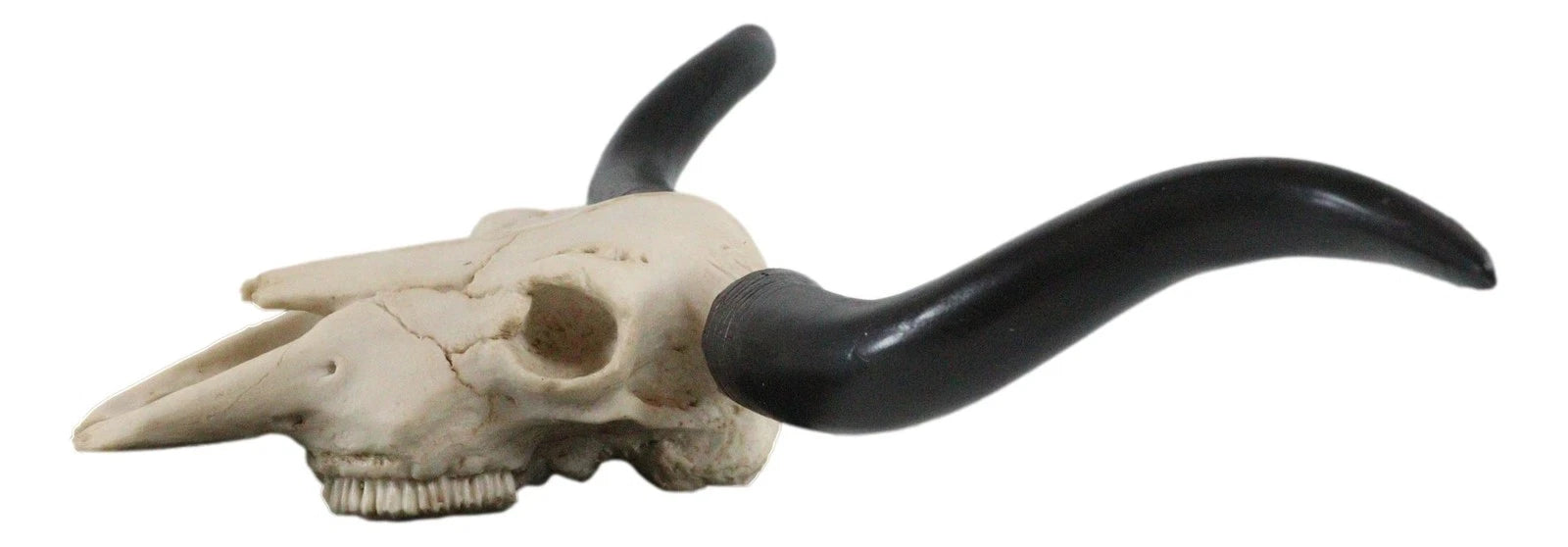 Texas Longhorn Steer Cattle Cow Skull Wall Hanging Plaque Figurine 21"L-4