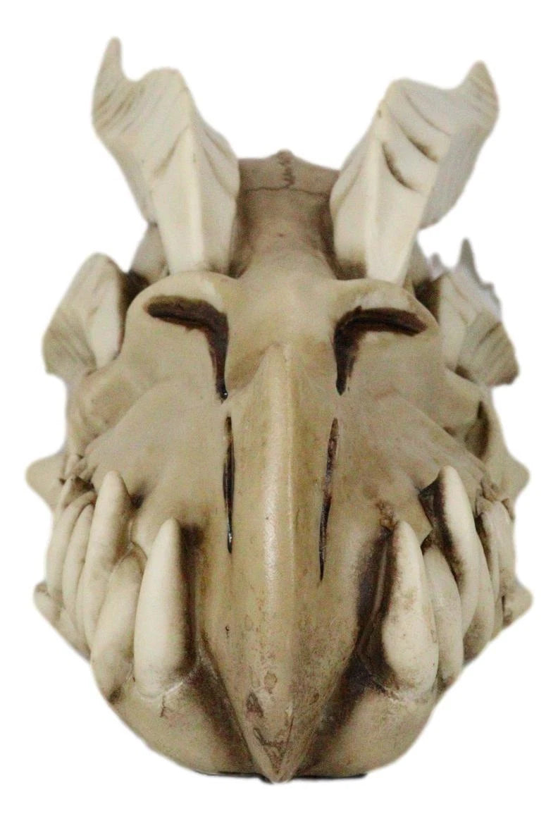 Jurassic Wise Dragon Head Skull Replica Fossil Wall Sculpture Or Desktop Statue-8