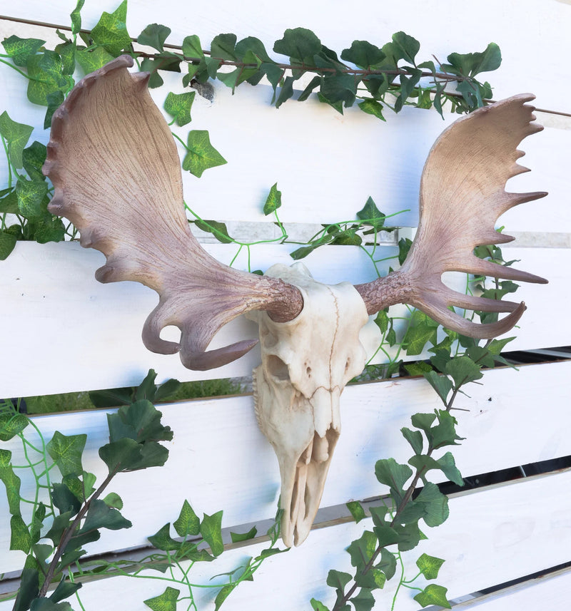 Czar North American Bull Moose Skull Wall Decor 22"Wide Wall Mount Plaque Art-2