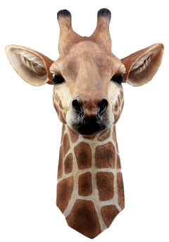 African Safari Long Necked Giraffe Head Wall Decor Scherezade Bust Figurine-6